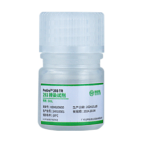 293轉(zhuǎn)染試劑,PEI