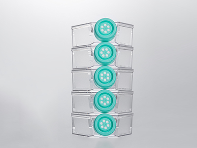 0.22μm疏水濾膜蓋，通氣阻水，高效阻菌；