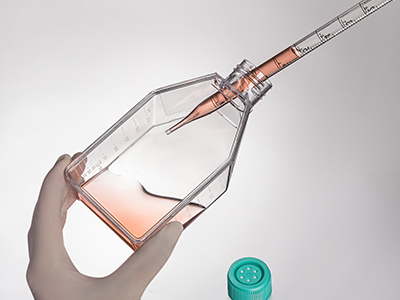 斜頸設計，易于傾倒，方便移 液管和細胞刮刀的進出