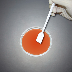 細(xì)胞鏟刀,細(xì)胞鏟,細(xì)胞刮刀和刮棒,Cell Lifters