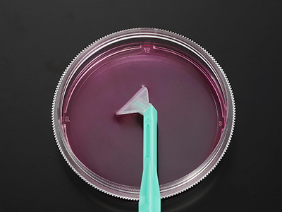 可自由旋轉刀片，能刮取各個角落，收獲細胞