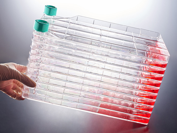 內(nèi)頁720×540 拷貝1.jpg