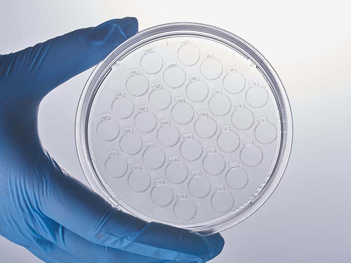 內(nèi)頁720×540 拷貝1.jpg