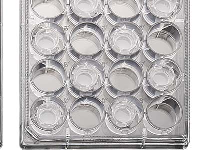 配有清晰的數(shù)字孔標(biāo)識(shí)，便于區(qū)分識(shí)別，方便記錄