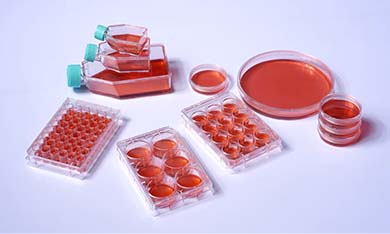 細(xì)胞培養(yǎng)板/瓶/皿常見問題