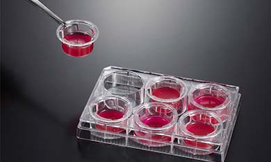 細(xì)胞嵌入皿常見問題