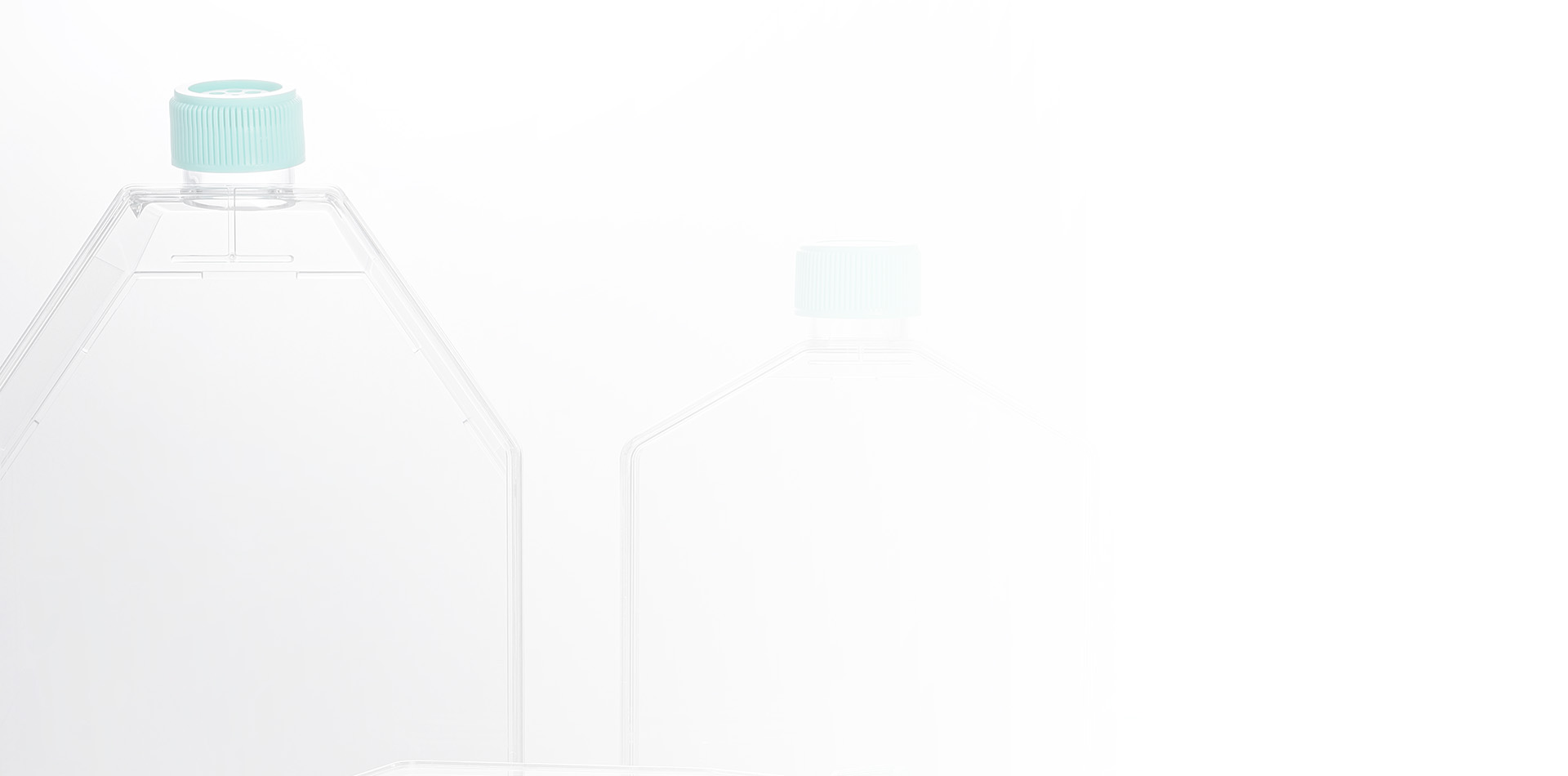 生物實驗室耗材