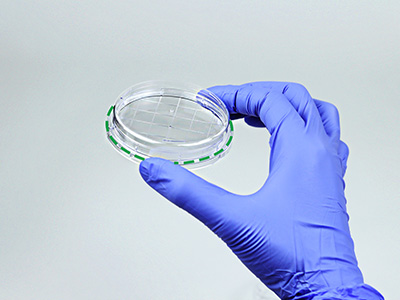 皿底抬高與邊緣持握設(shè)計， 方便握取與操作，穩(wěn)定疊放不易倒