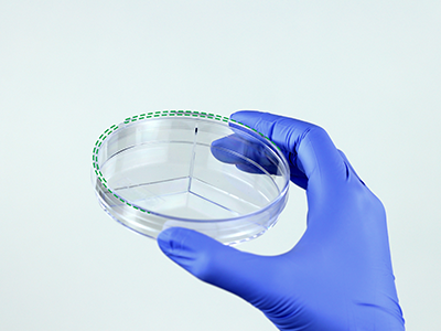 皿蓋邊緣突起設(shè)計(jì)，有利于培養(yǎng)皿穩(wěn)定疊放